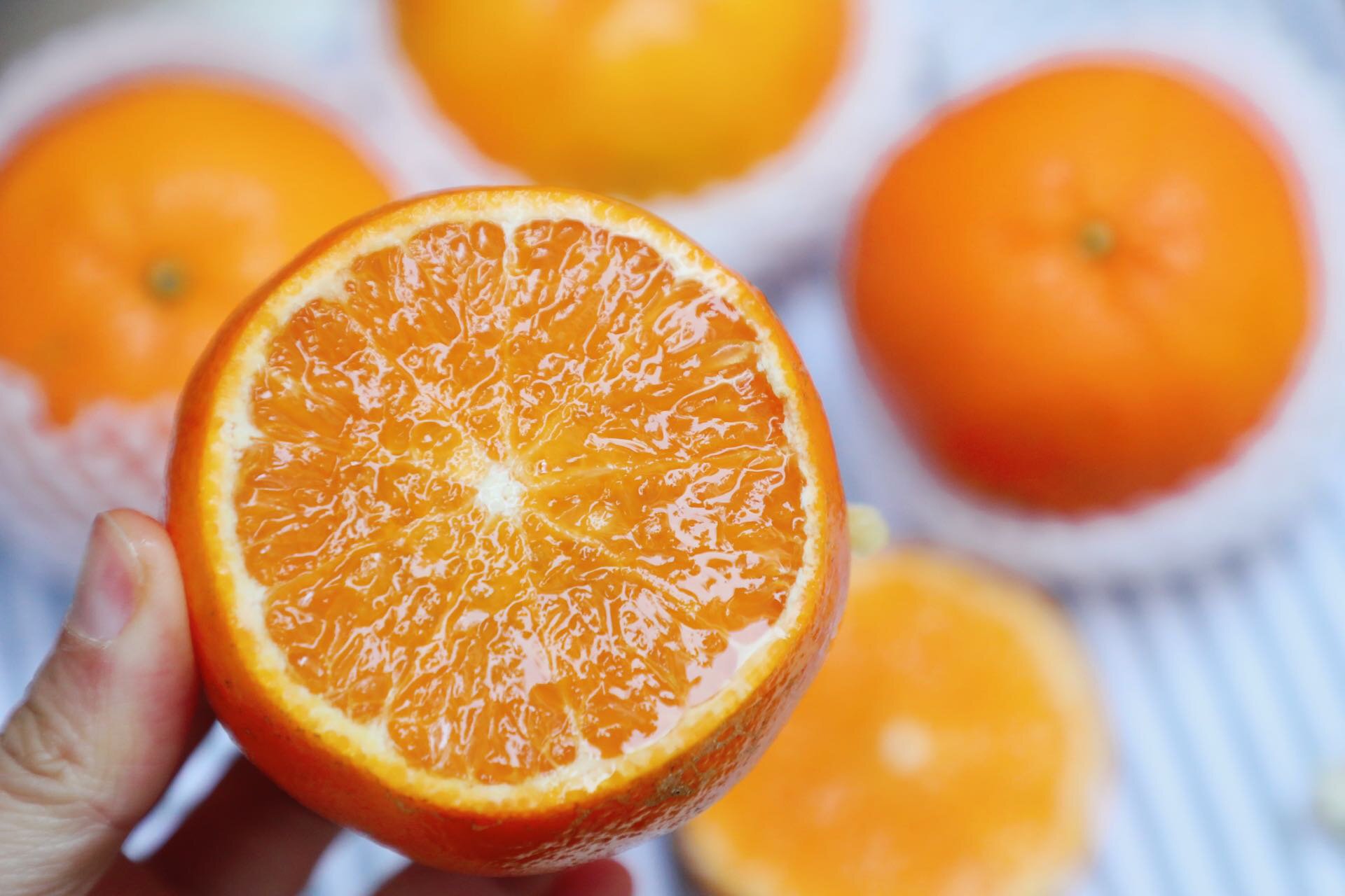 云南无核蜜柑 它是柑橘届的天花板,每个人的梦中情果?