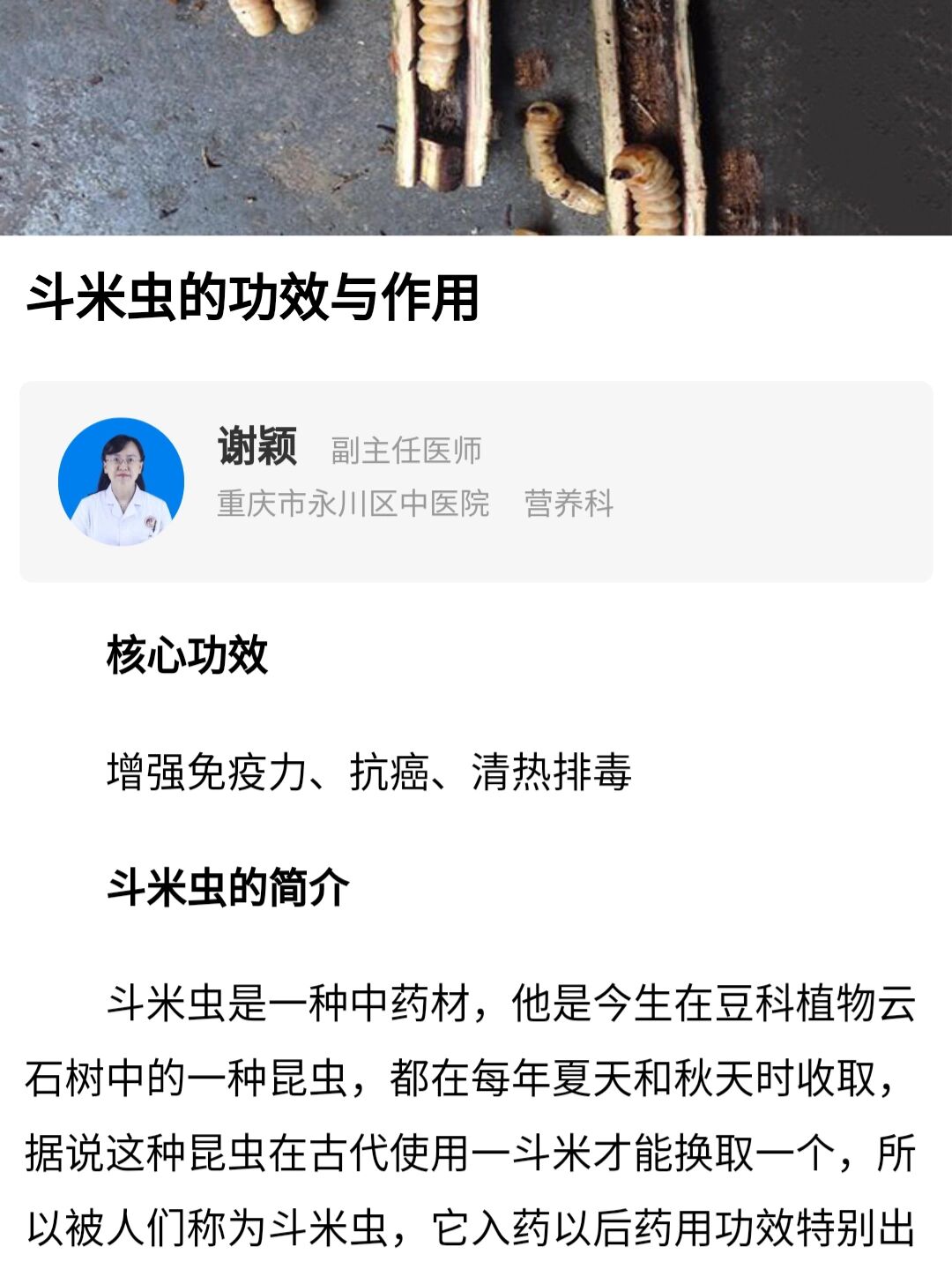 斗米虫的功效与作用.