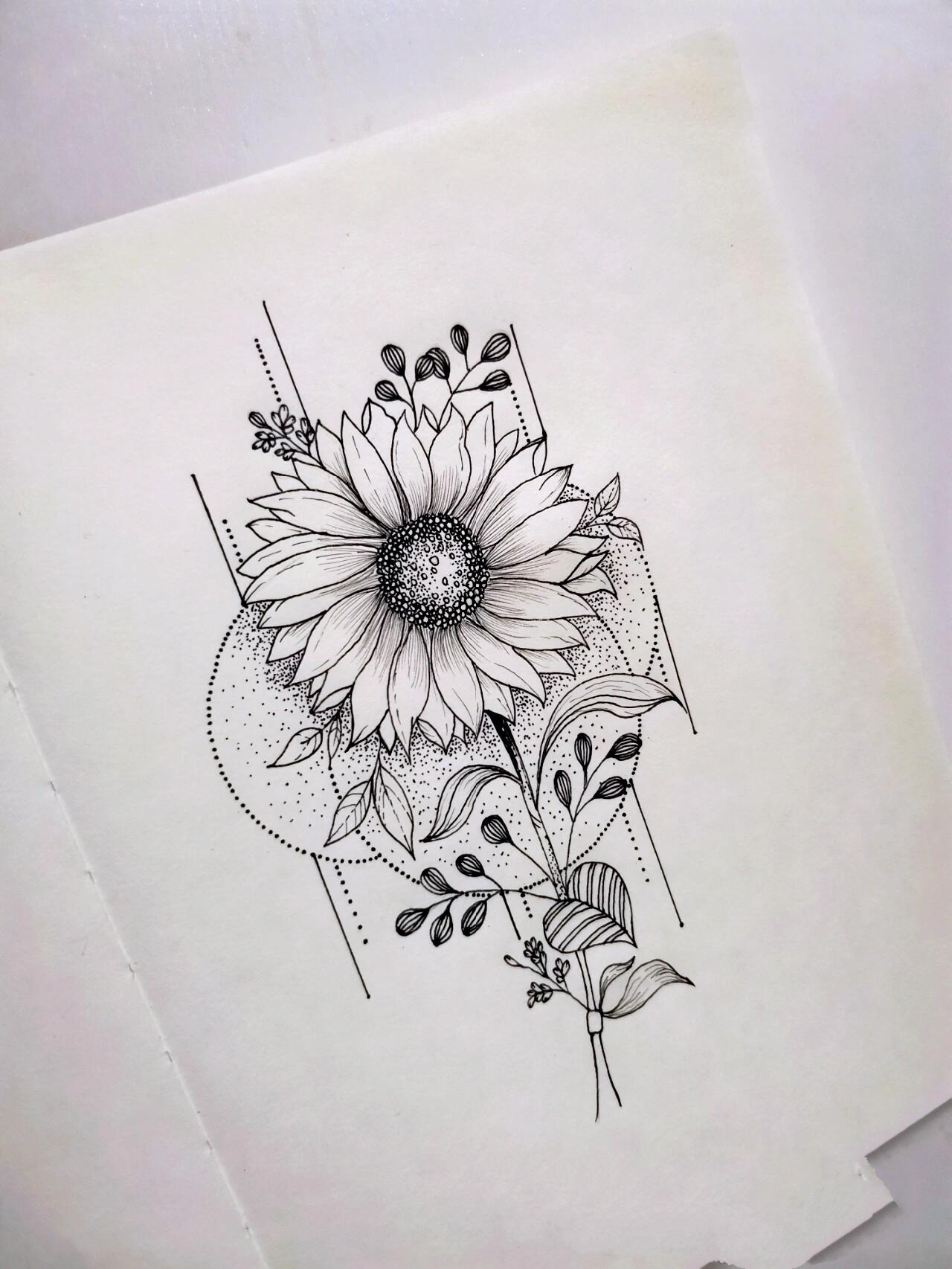 原来向日葵花卉黑白画可以这么好看 今天这一副是根据三副不同的画