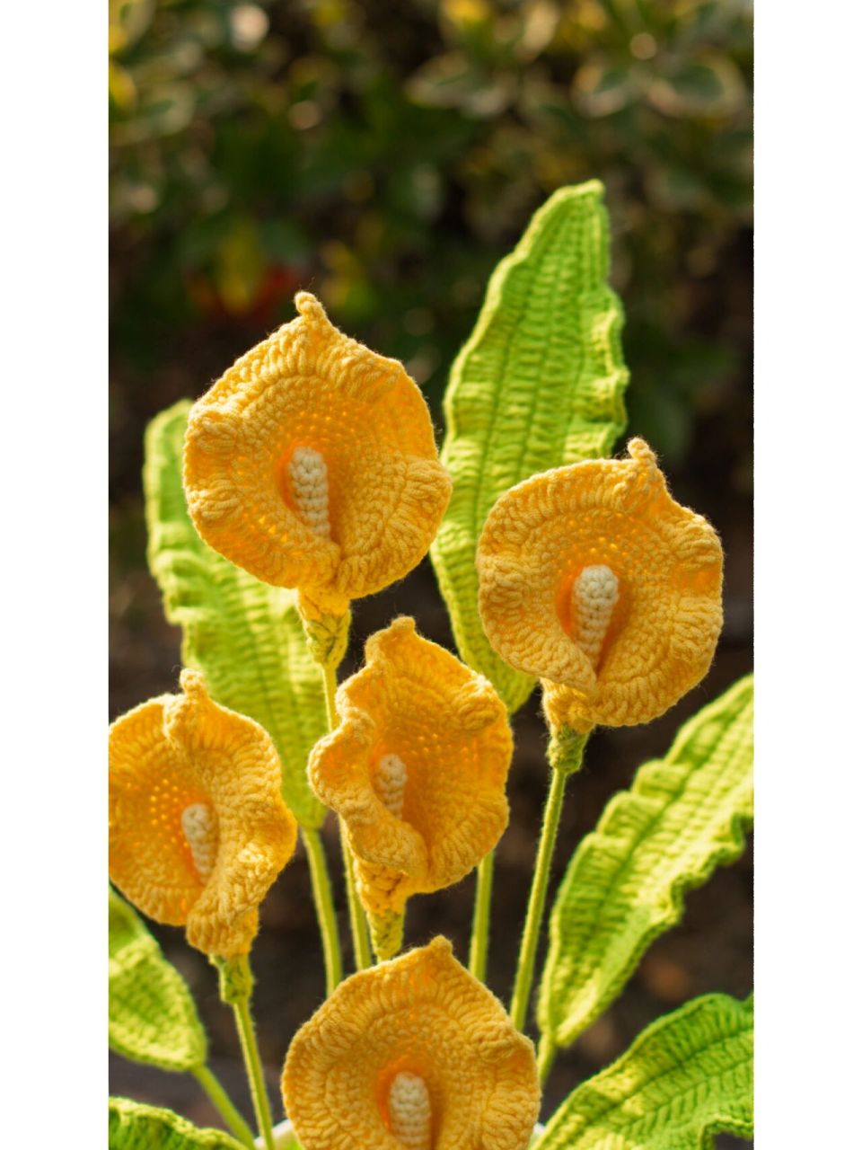 马蹄莲盆栽钩织(附图解) 马蹄莲的花语是"博爱,幸福",寓意着吉祥,福气