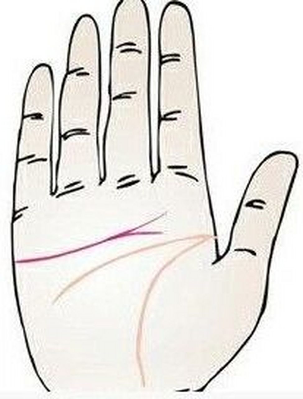 感情线本端分叉 一条延伸到木星丘,另一条延伸到食指和中指之间的人