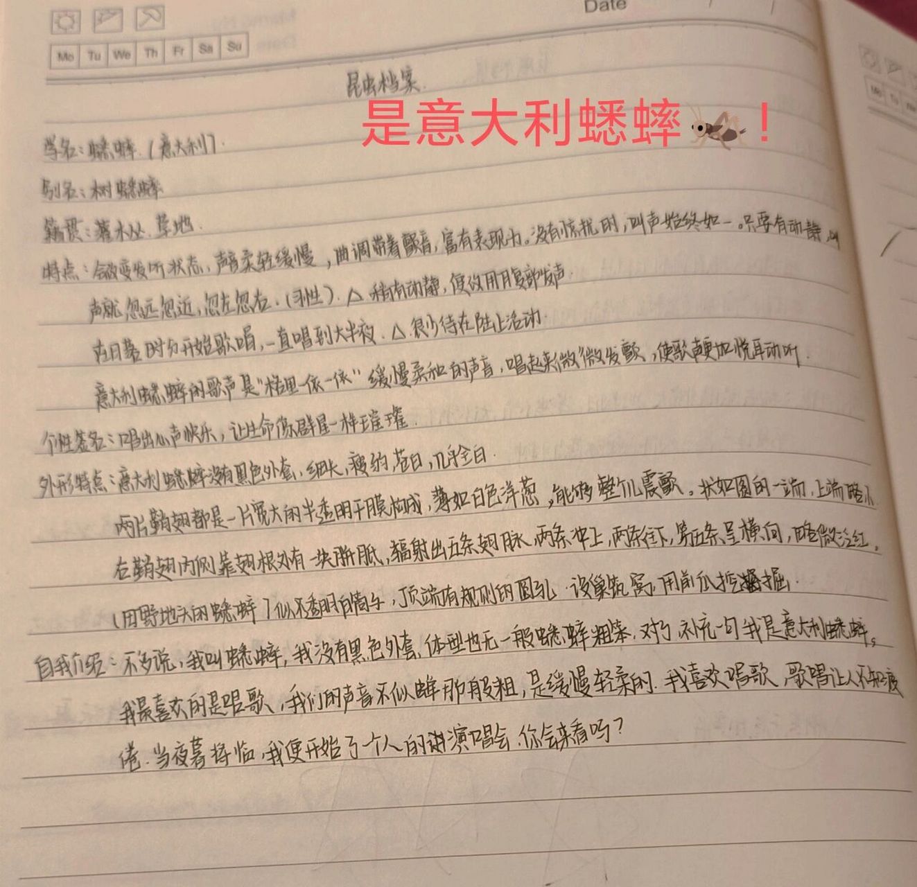 《昆虫记》昆虫档案--意大利蟋蟀