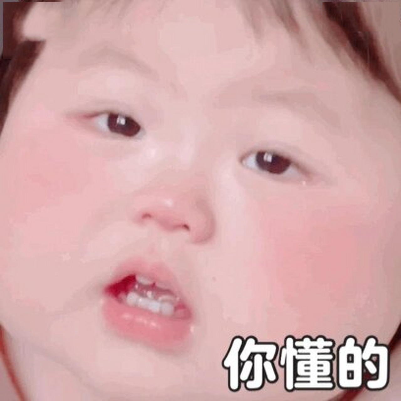 7更新 拿表情包的bb看主页lx 没礼貌的达咩!