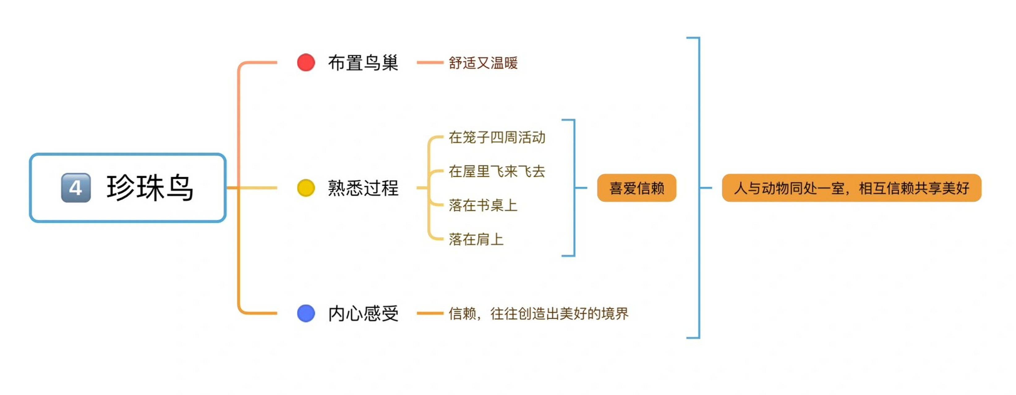 珍珠鸟的思维导图大全图片