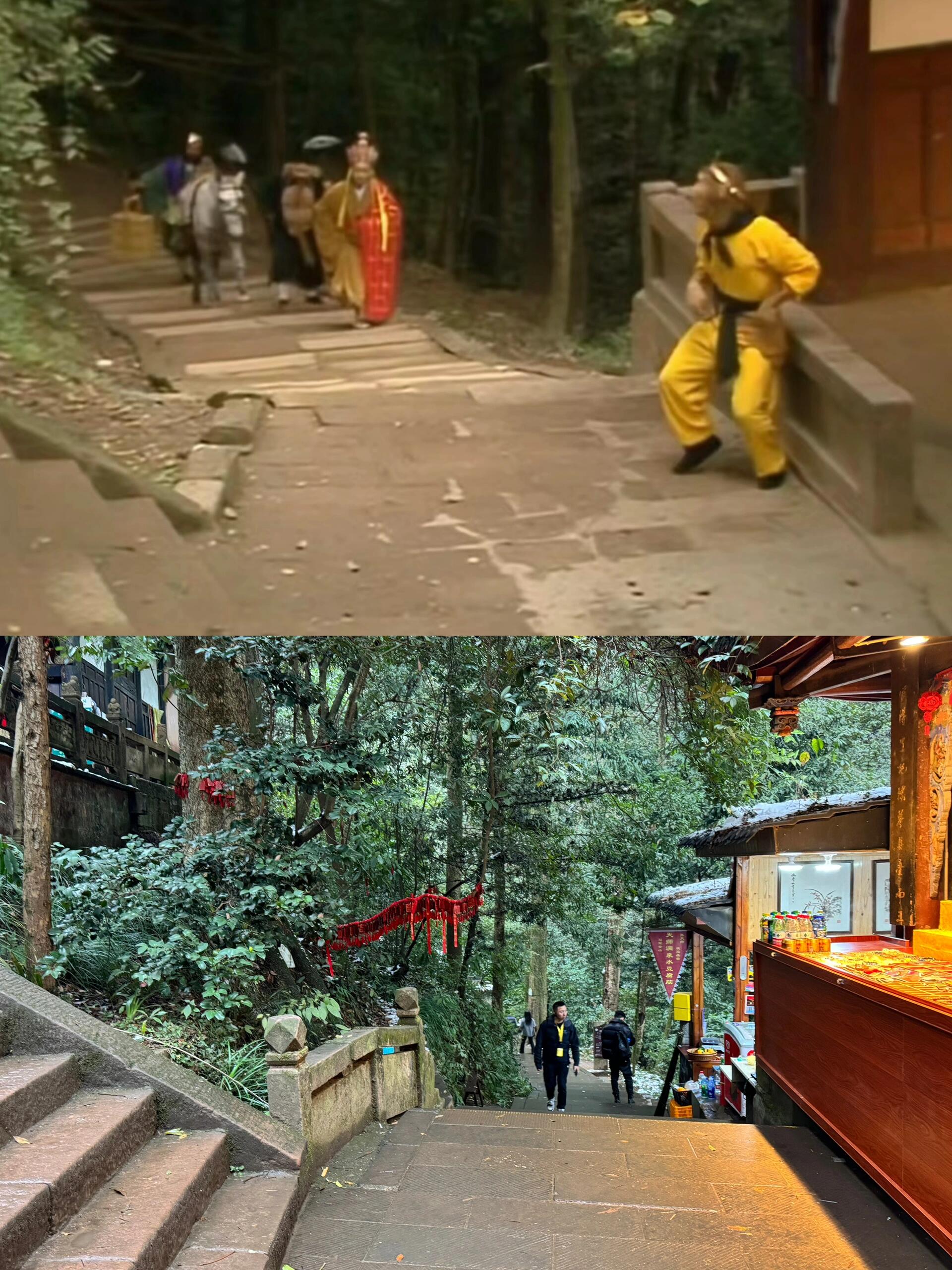 青城幽山今犹在 不见当年取经人 四川青城山的古常道观 五庄观,拍摄地