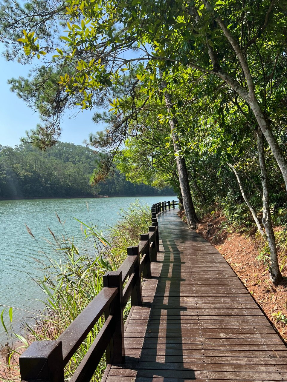 普洱百来不厌的梅子湖公园木栈道 来普洱旅游你一定要打卡～梅子湖