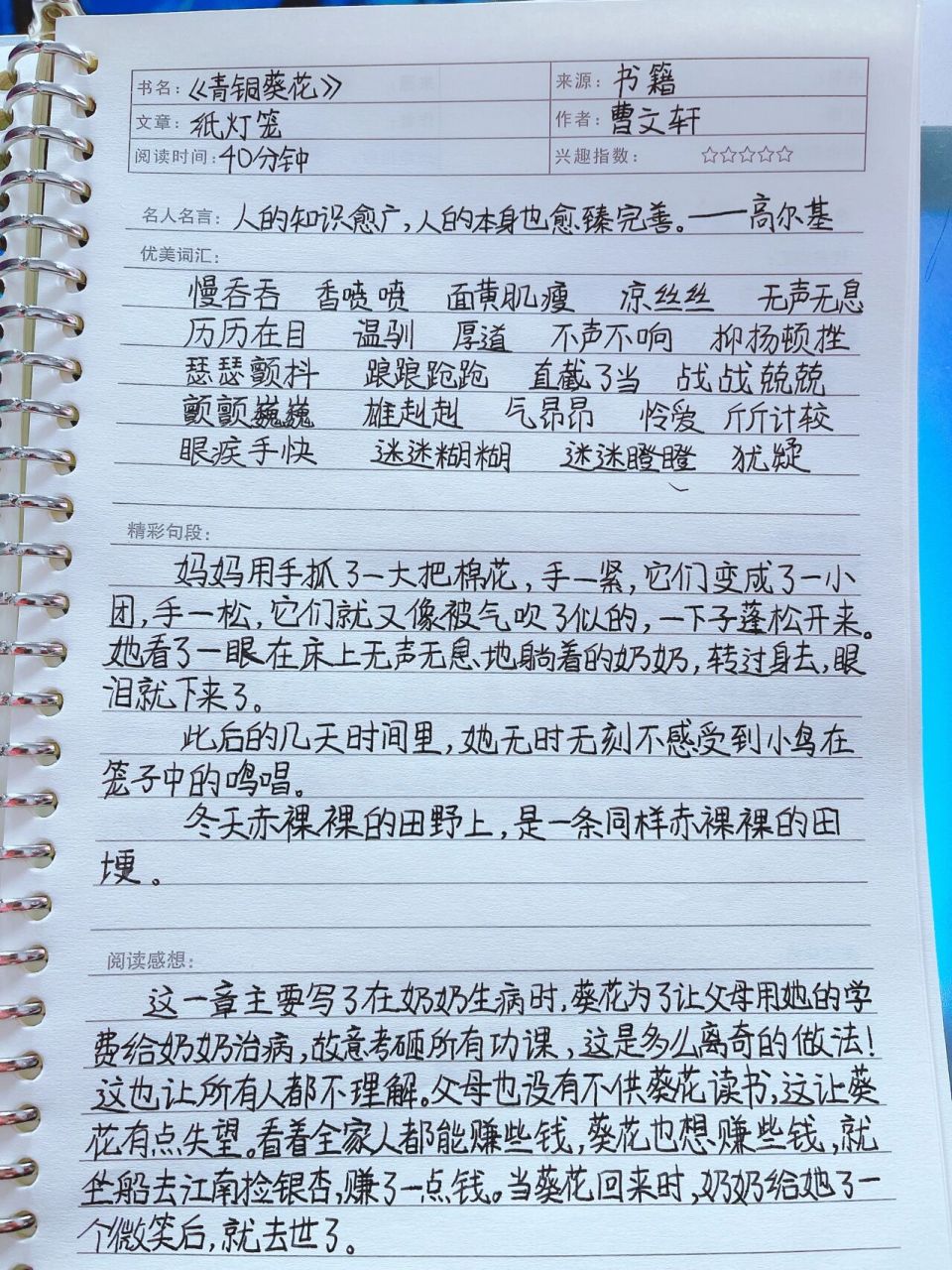 《青铜葵花》读书笔记第八章纸灯笼 今日份读书笔记来啦!