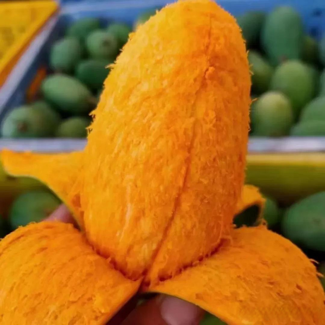 当然,这其中最令人期待的就是这两箱鸡蛋芒果了.