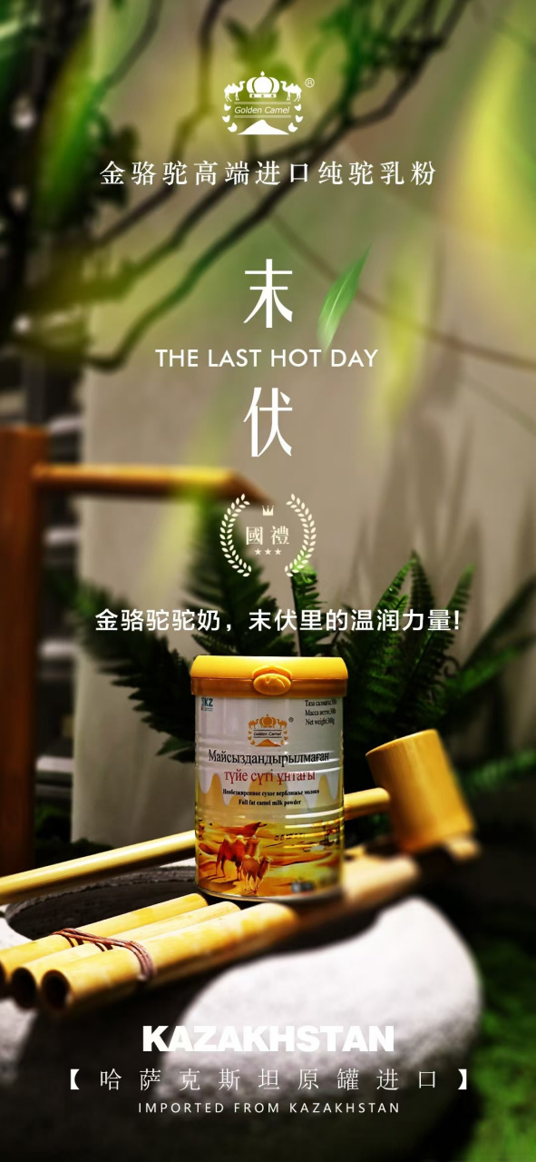 末伏虽热,金骆驼驼奶以自然之馈,温润滋养,守护全家健康.
