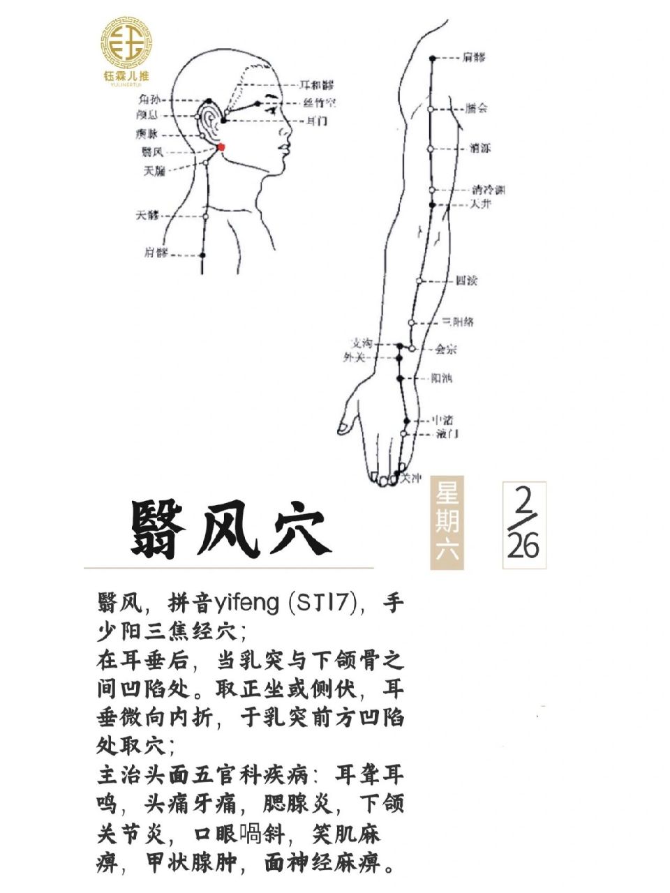 翳风准确位置图作用图片