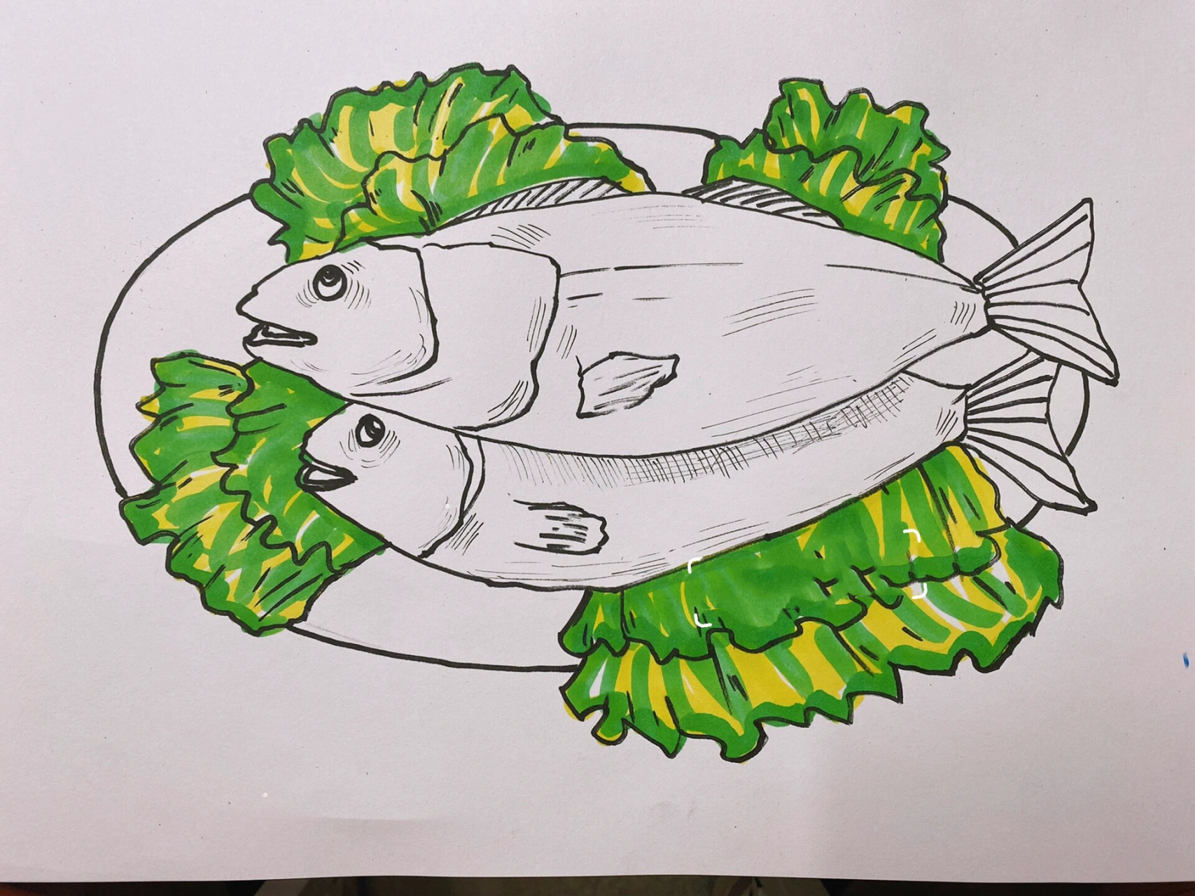 清蒸鱼简笔画带颜色的图片