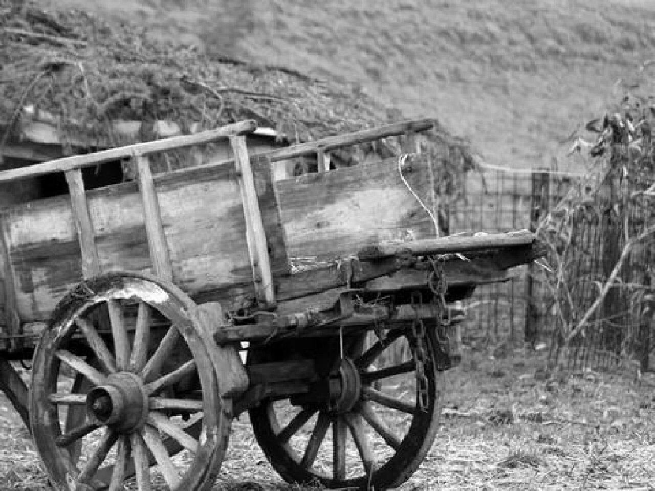 旧木推车图片素材