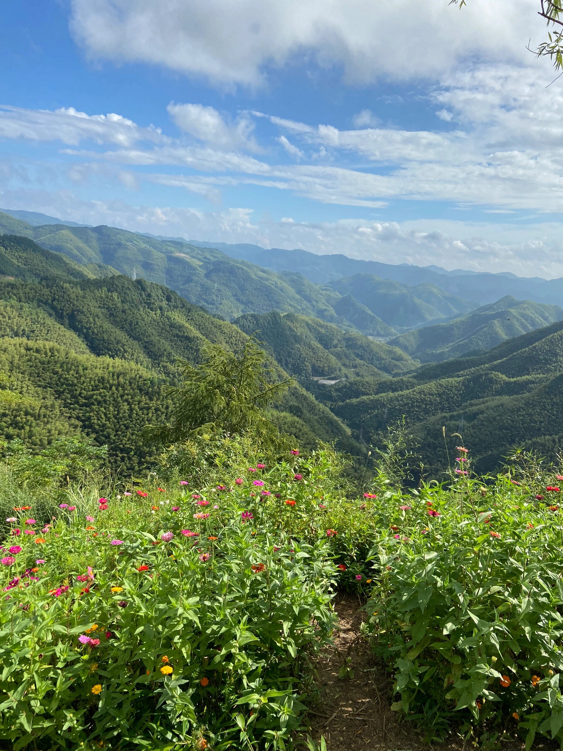 余姚免费景点自驾游图片