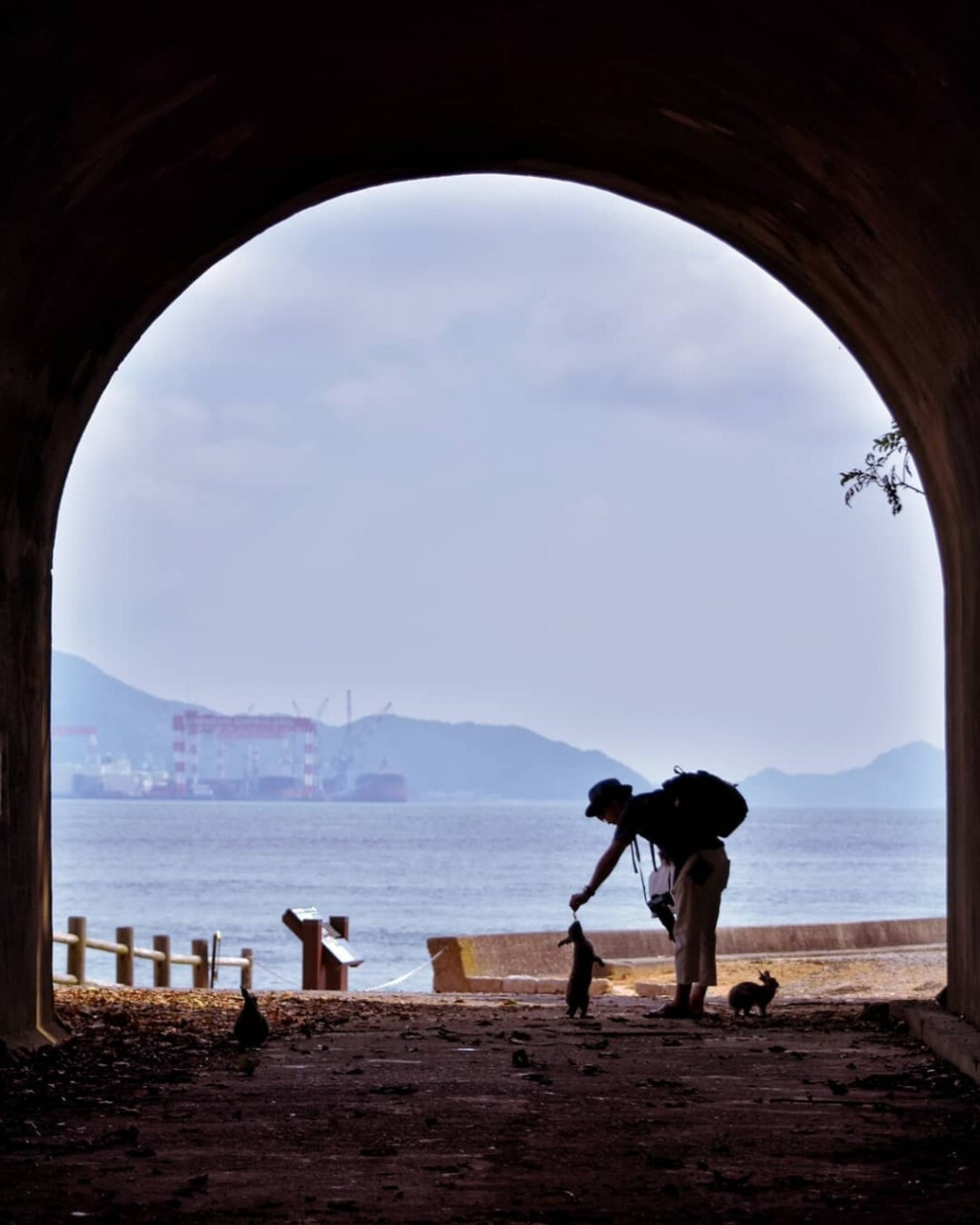 探访最萌的日本兔子岛◎广岛大久野岛 92大久野岛座落于濑户内海艺