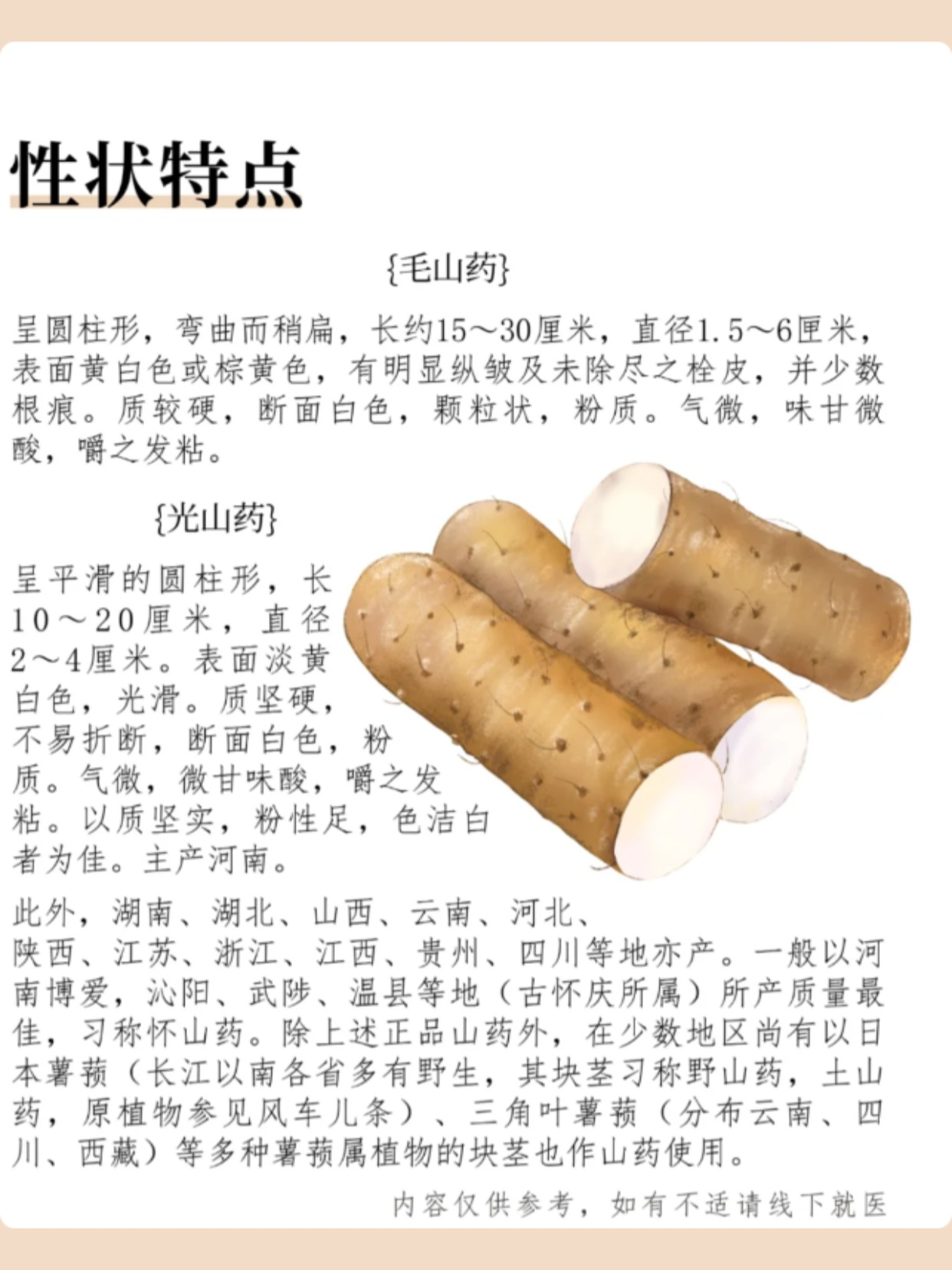 山药好处可多啦!它能健脾益胃,还能益肺止咳