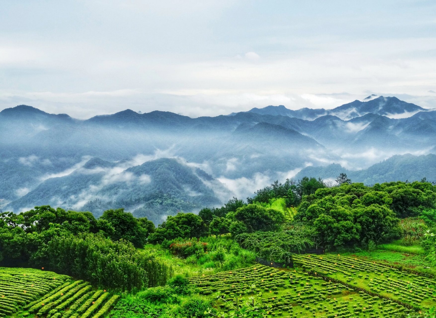 紫凝山的云雾 在天台山的紫凝山上 雨后随手拍拍 山峦叠嶂,云雾缭绕