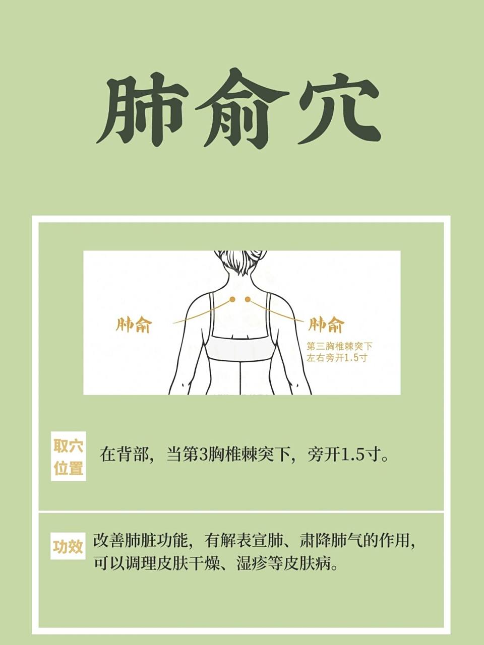 肺俞穴87保养肺脏的要穴,宣肺平喘97 97"肺",指肺脏.