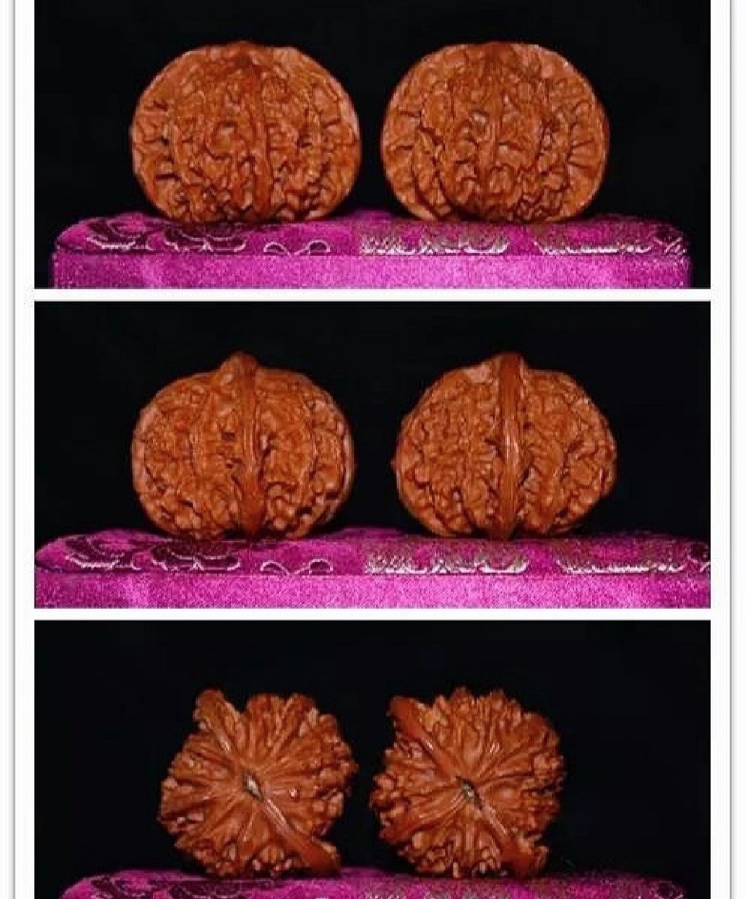 平顶狮子头(介绍) 平顶狮子头是以核桃的顶部型状来命名的核桃,产自