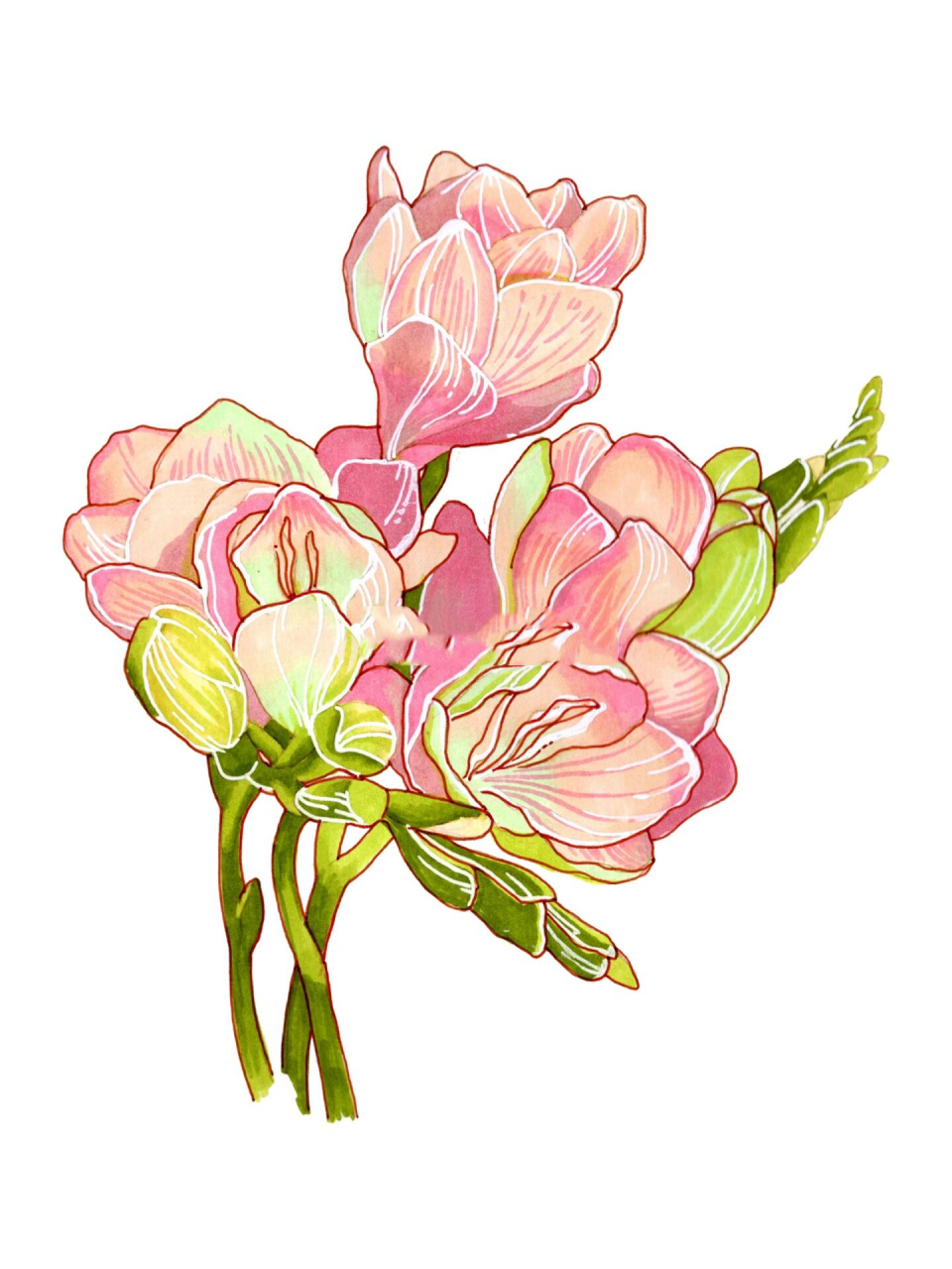 视传考研马克笔手绘单体示范|植物花卉篇 9615示范视频正在剪辑中