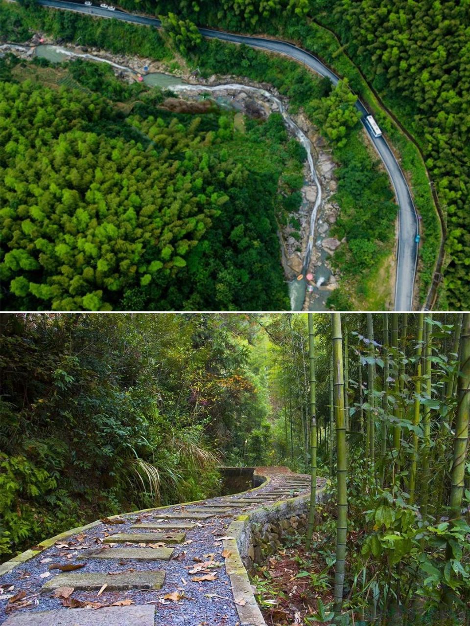 桐庐马岭古道|富春江三村漫游|竹林吸氧疗愈 97马岭古道处于浦江