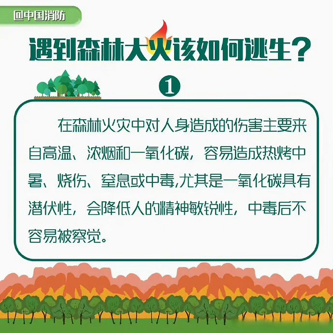 【遇到森林大火该如何逃生】森林火灾带来的危害是毁灭性的.