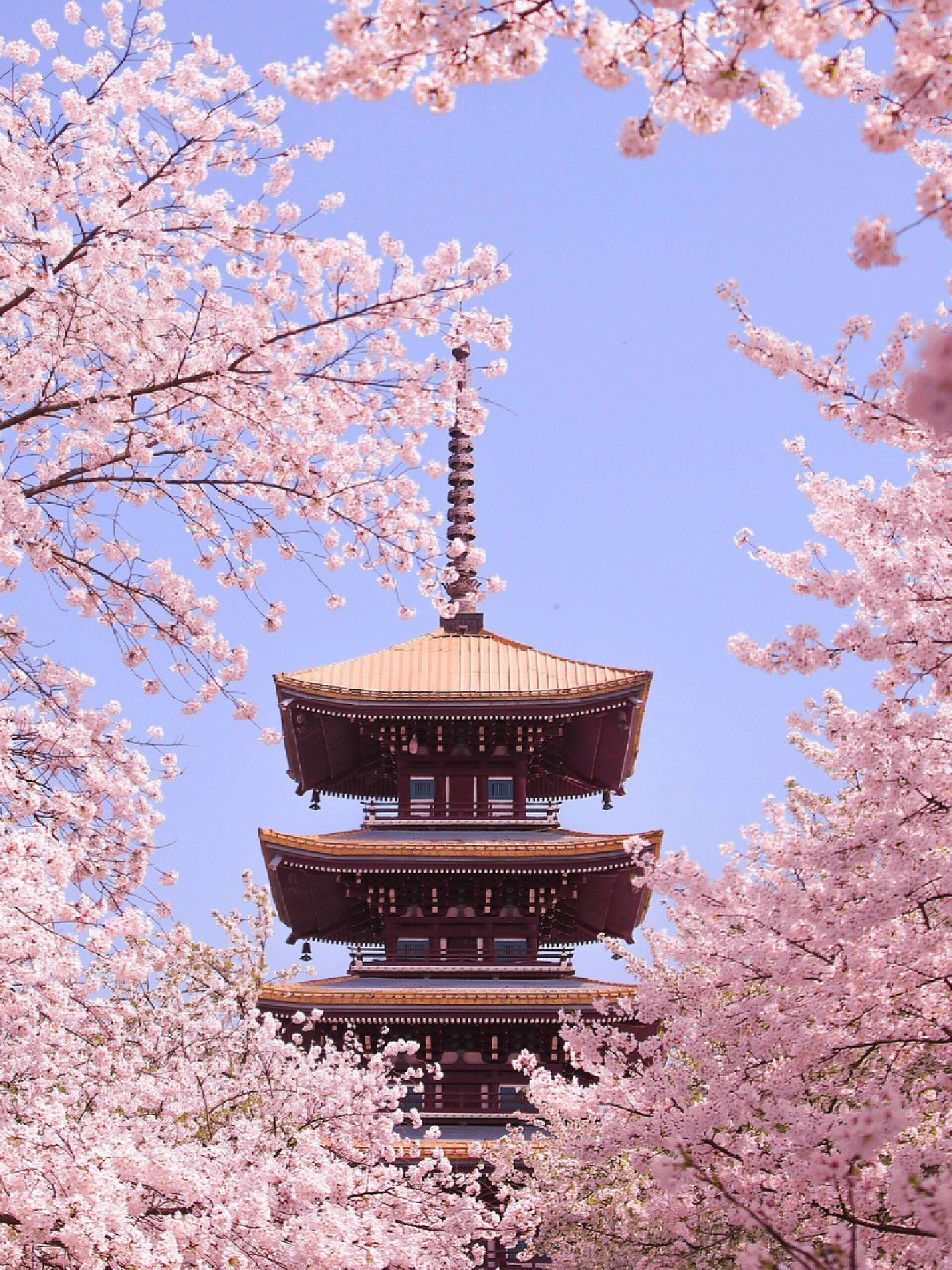 人生建议:来武汉必玩的十个地方7575 武汉土著整理的实用攻略