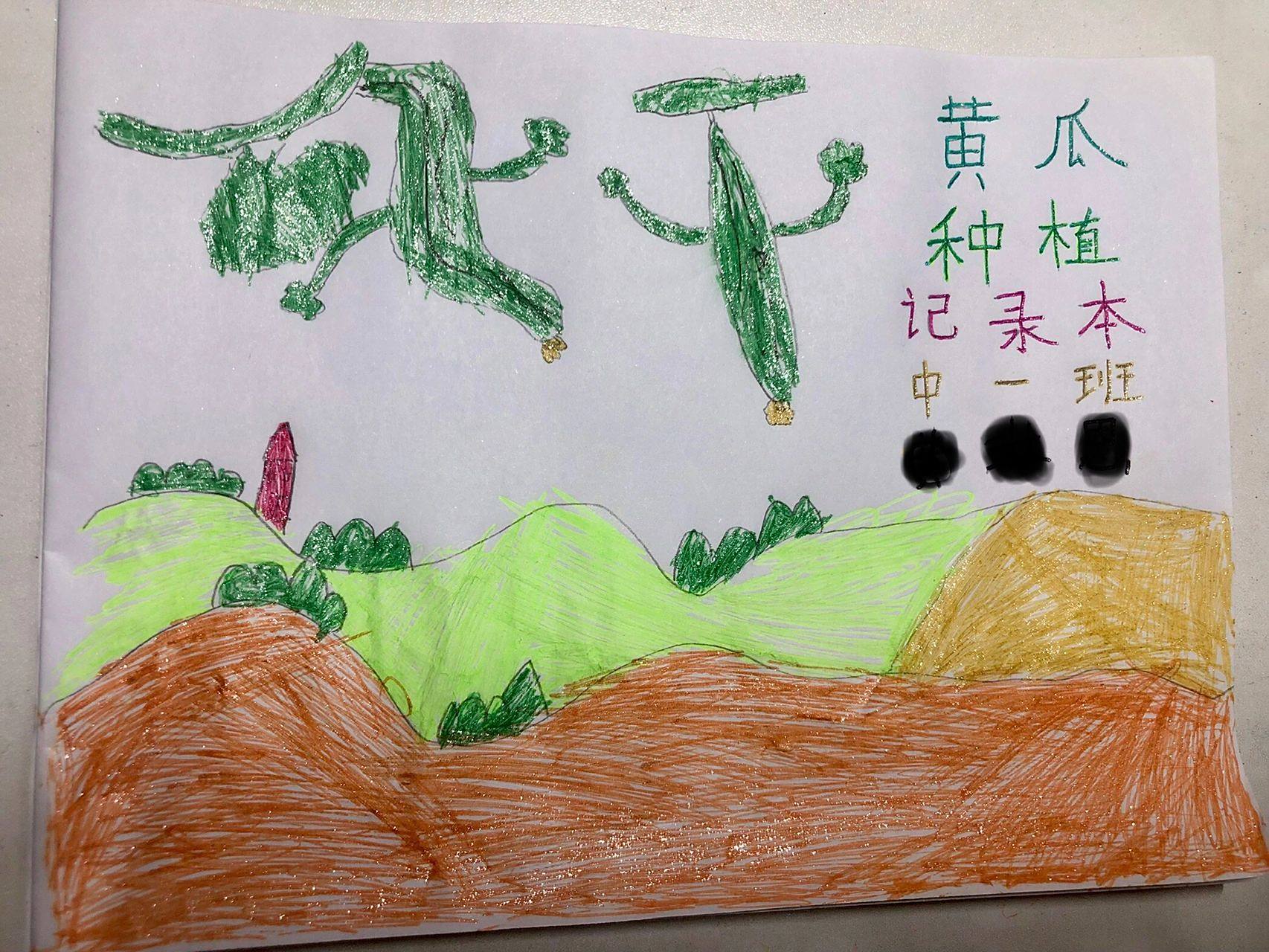 幼儿园中班黄瓜成长绘画 幼儿园中班黄瓜成长绘画