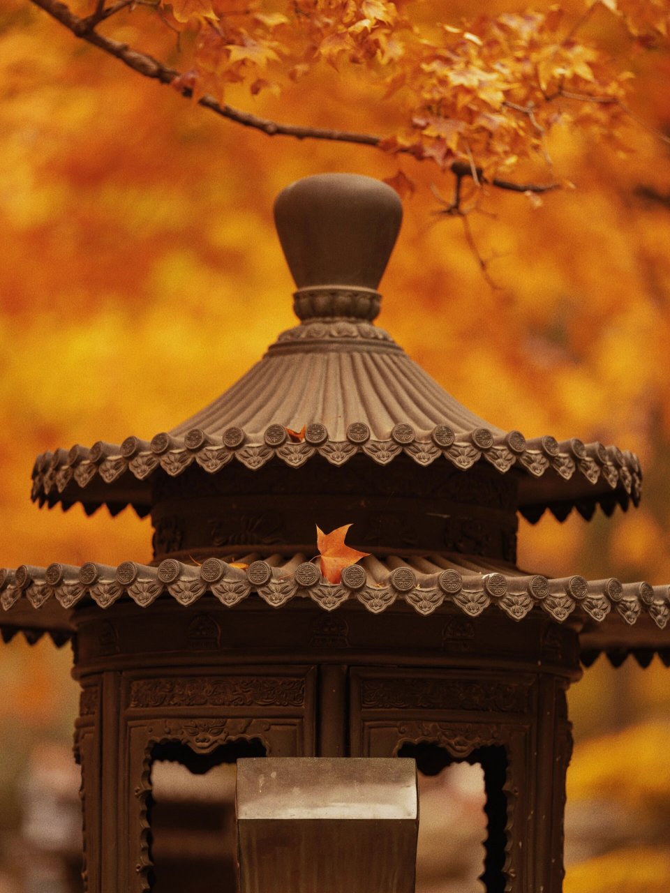 勤政殿可以拍了,再不去一场大风就什么都没了.