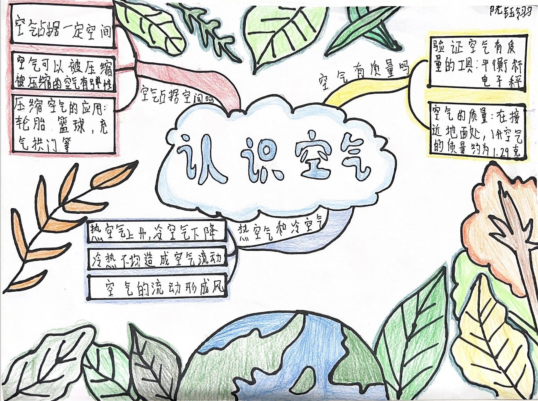 三上科学苏教版第一二单元思维导图