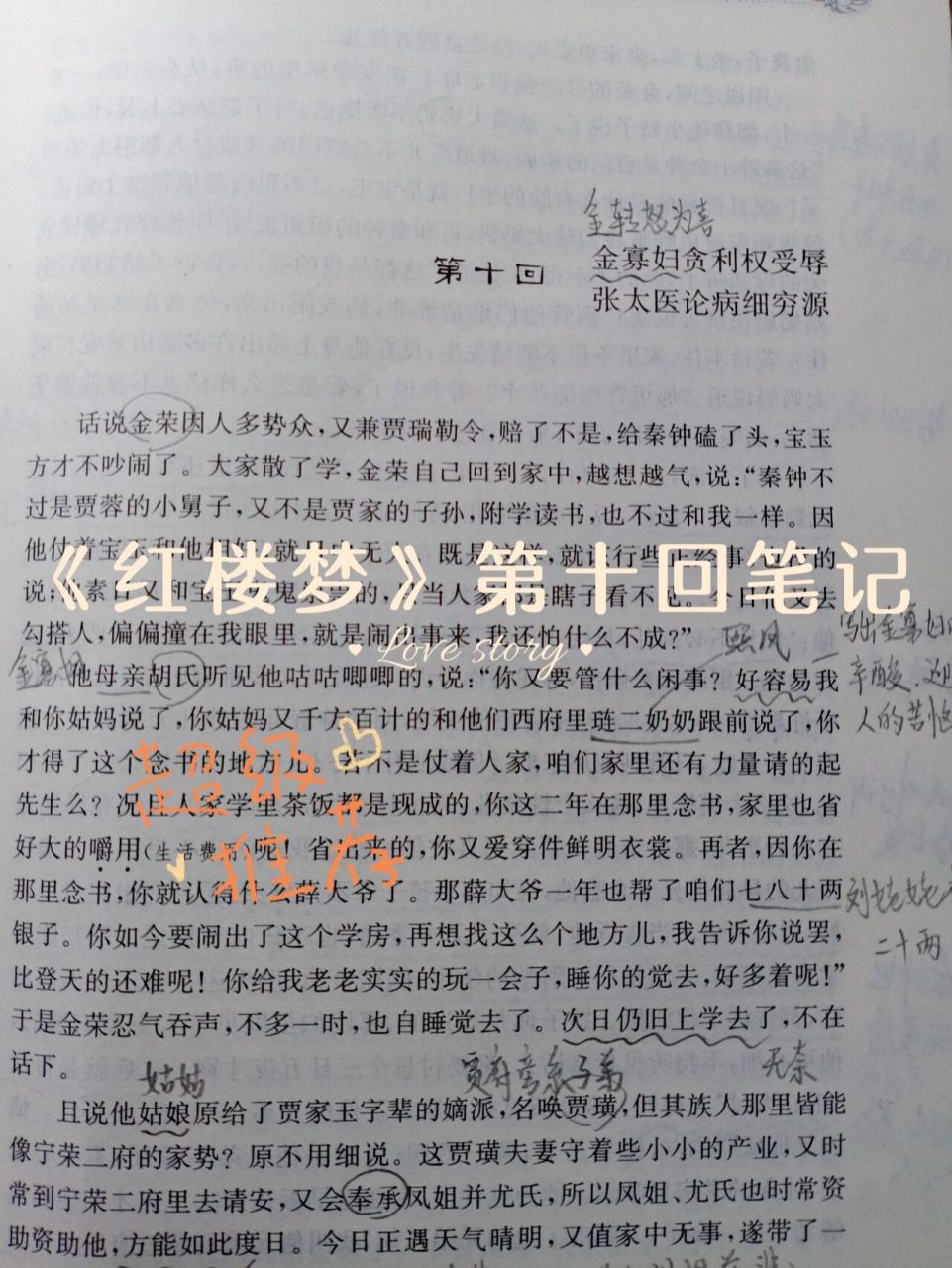 《红楼梦》笔记第十回|红楼梦笔记