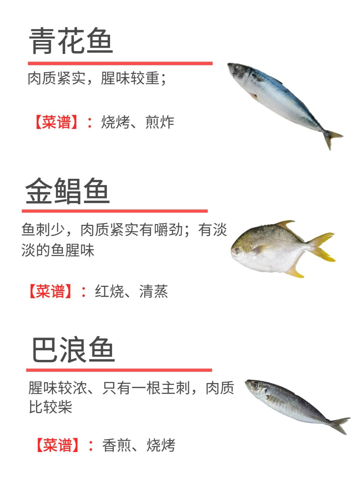常见海鱼的特点和区别,后附做法