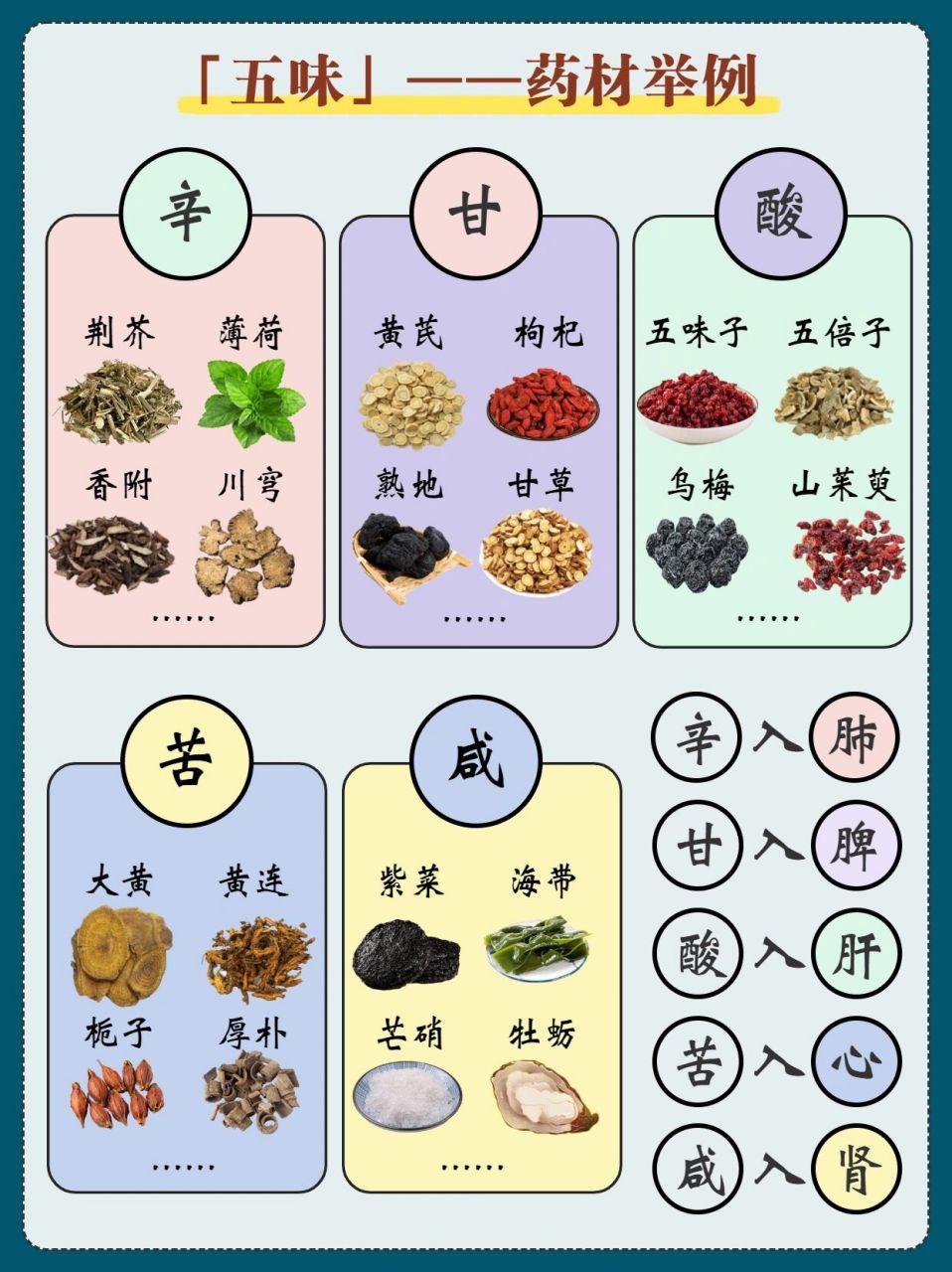 四气五味指的是什么图片