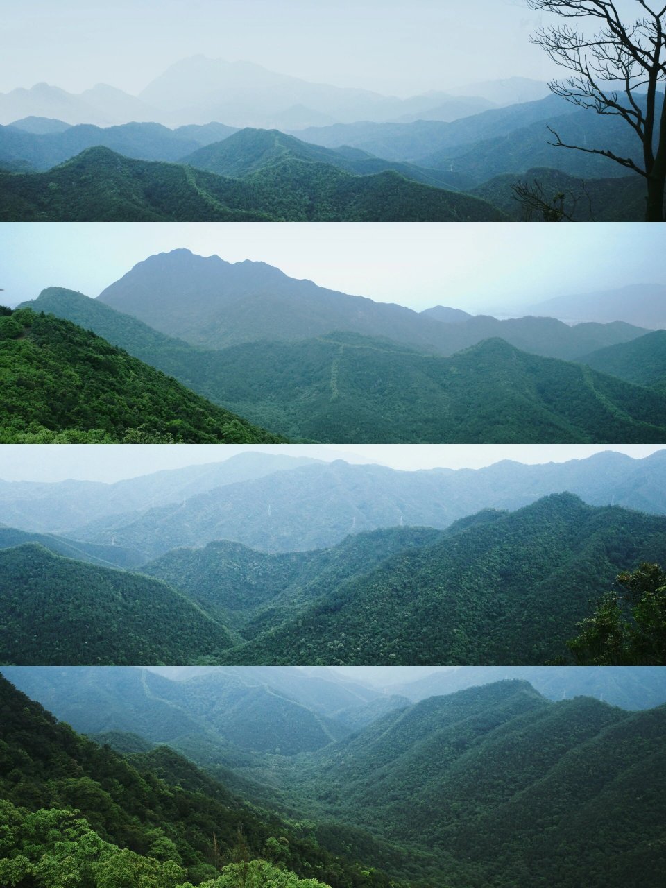 肇庆喜欢爬山的给我冲——小鸡笼山 鼎湖有两座著名的山峰,被称为肇庆