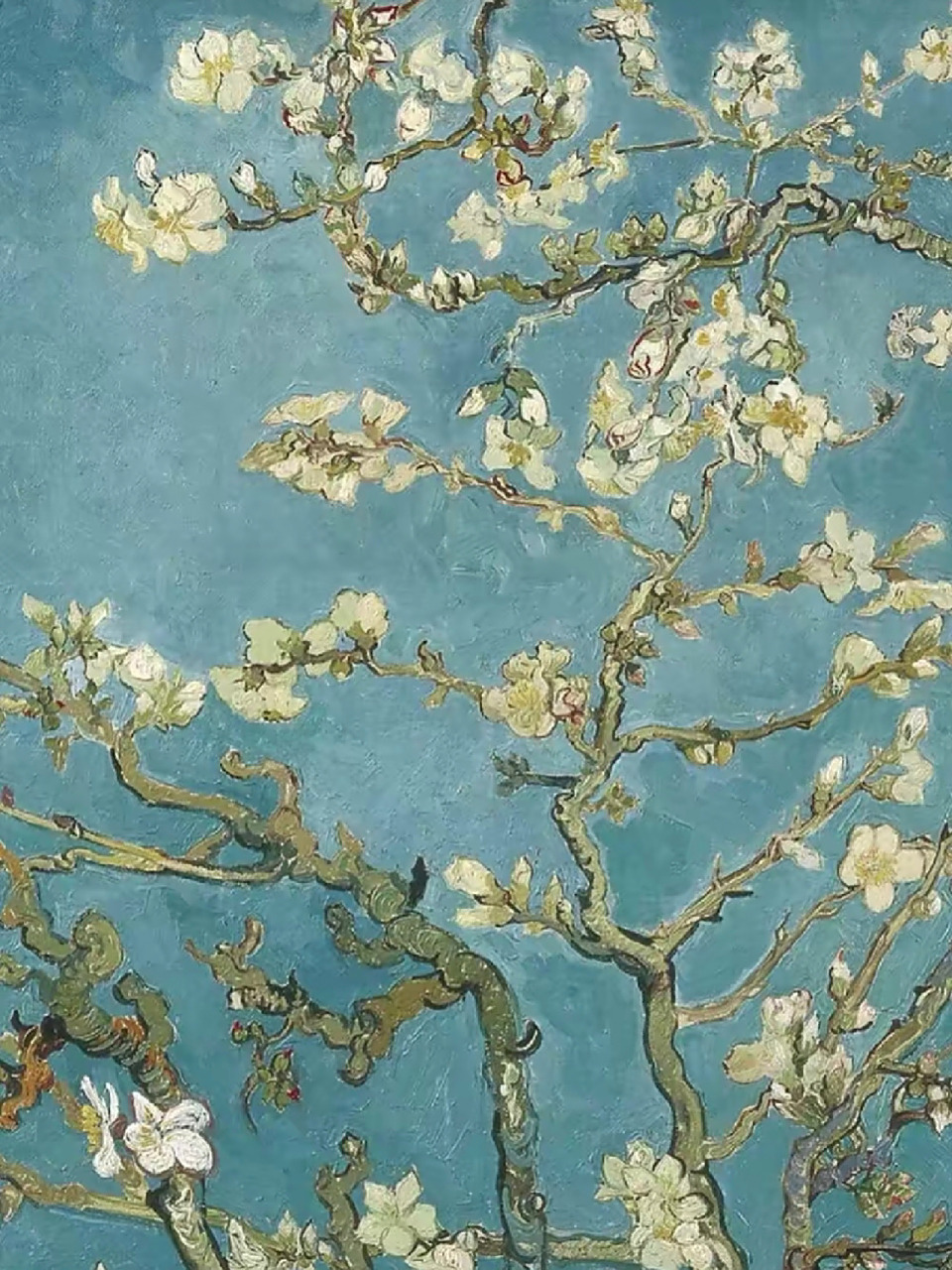梵高开心画了这幅杏花送给了侄儿.