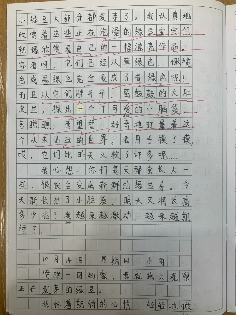 四年级观察日记作文评语大全(观察日记400字 四年级作文评语)