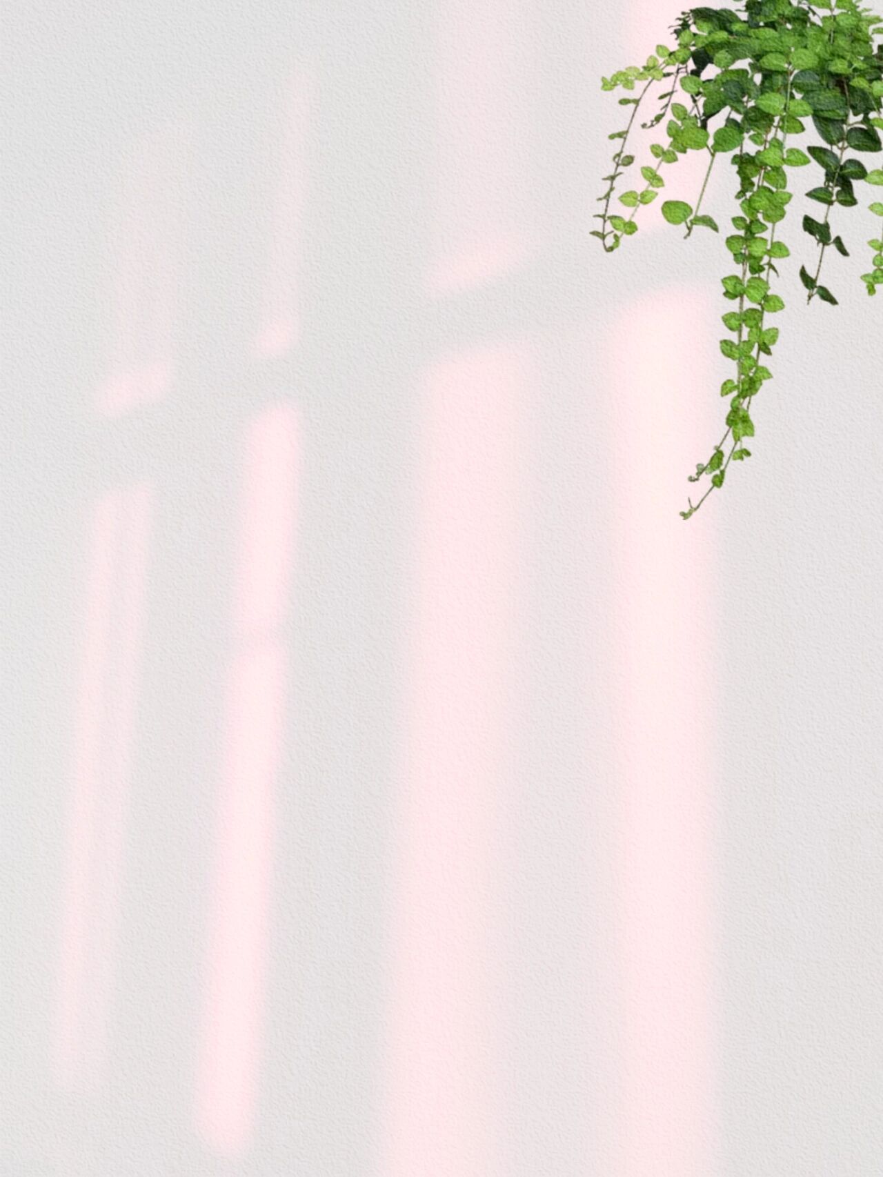 清新淡雅高级感朋友圈背景图‖文案底图