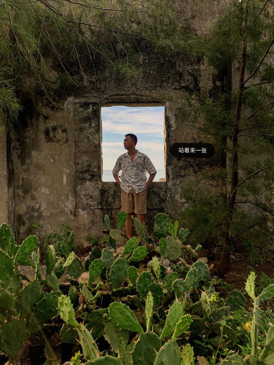 涠洲岛旅行第1天 我们赶在夕阳前找到了这里 野生的仙人掌肆意生长