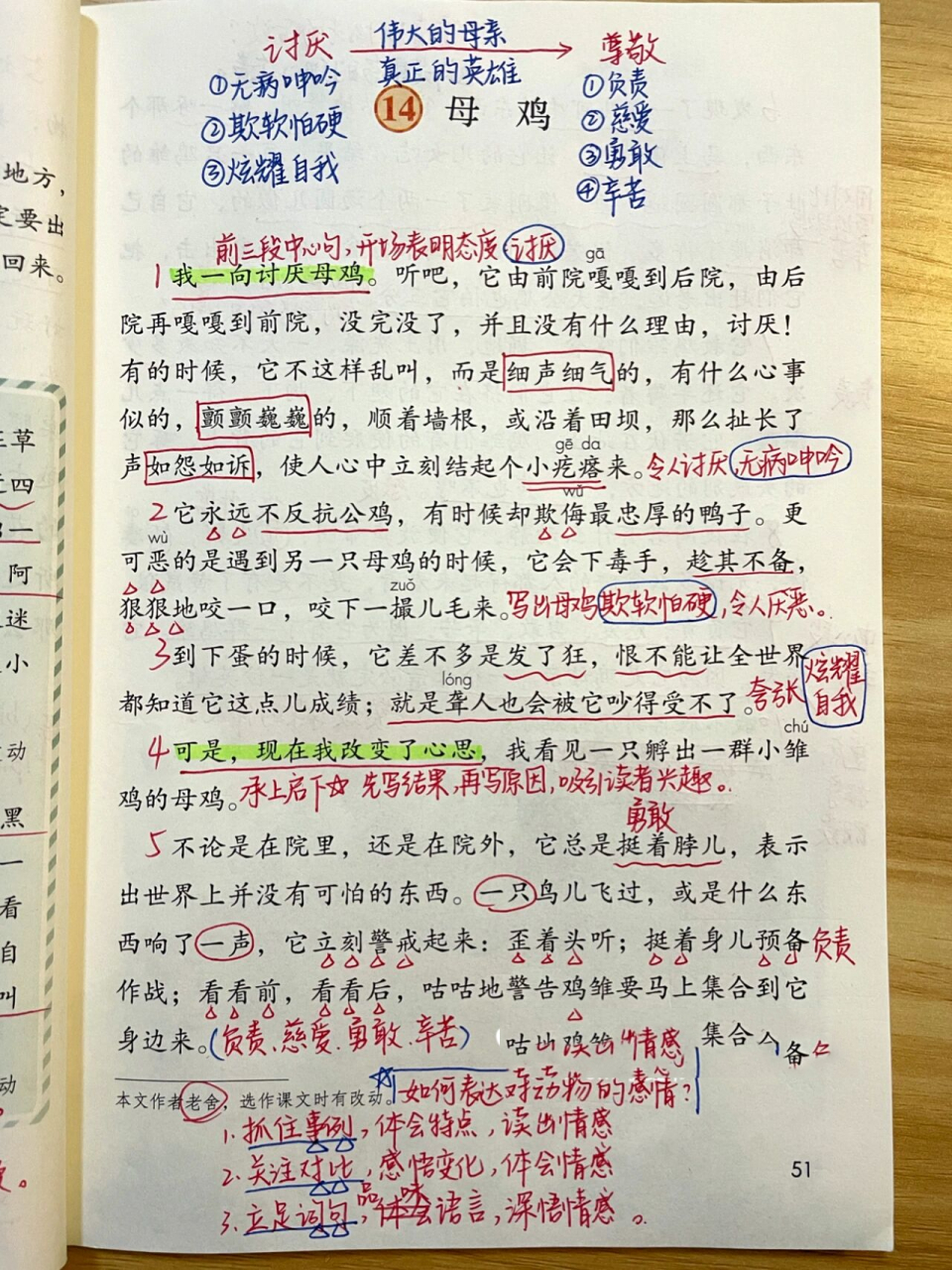 课文笔记|四下第14课《母鸡》 开学第一天,忙!抽空更新!