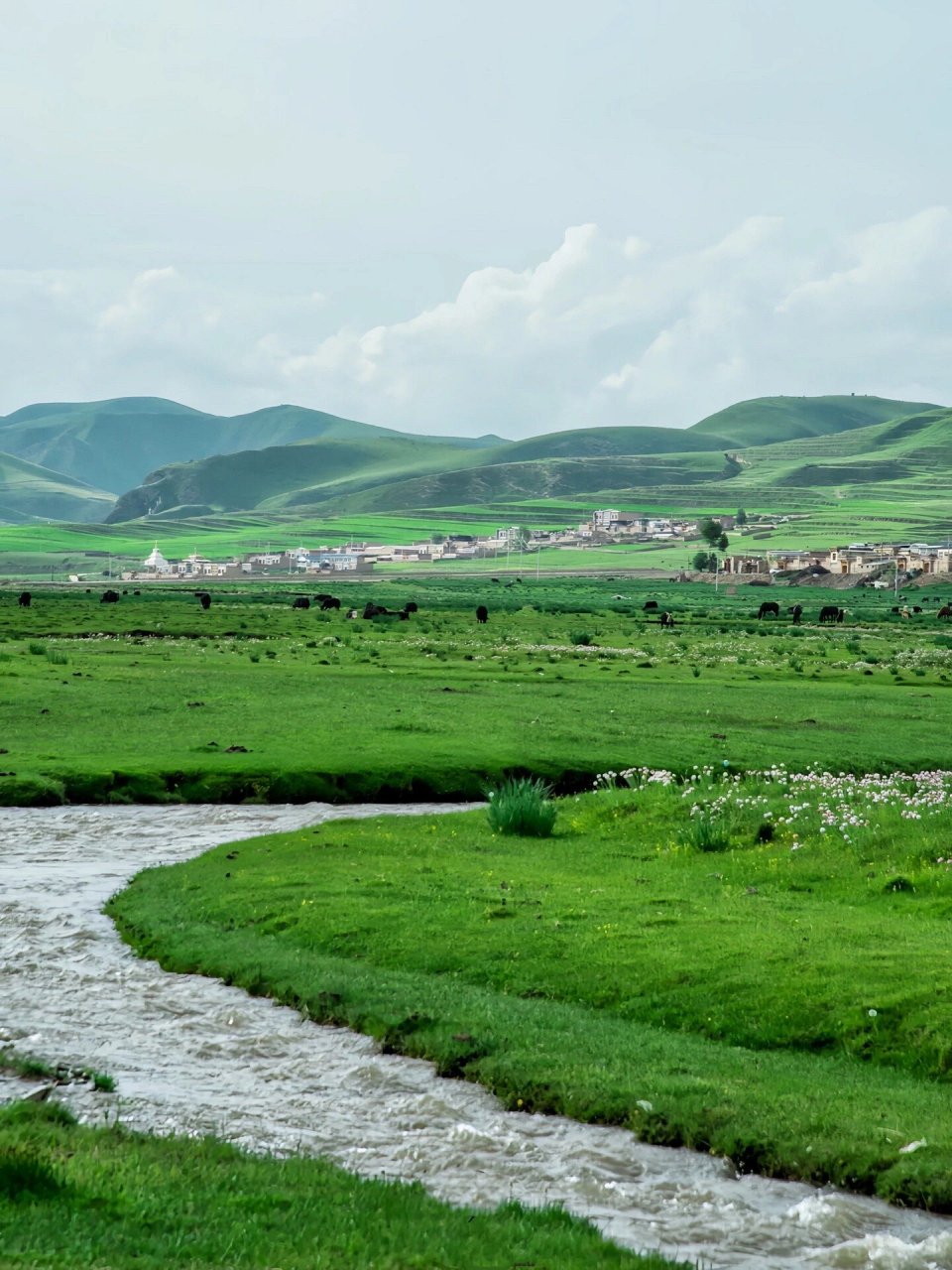 甘南郭莽湿地位于碌曲县,海泼 3562米,是黄河上游最大的支流——洮河