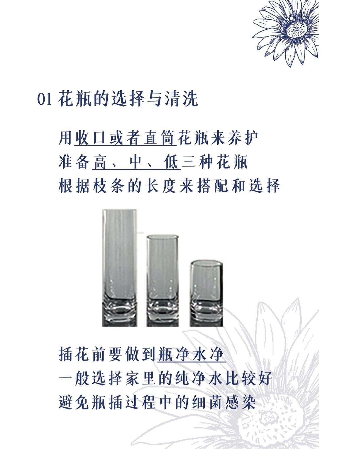 93非洲菊鲜切花养护要诀: 合适水量 保鲜剂 正确的修剪方法 合适的