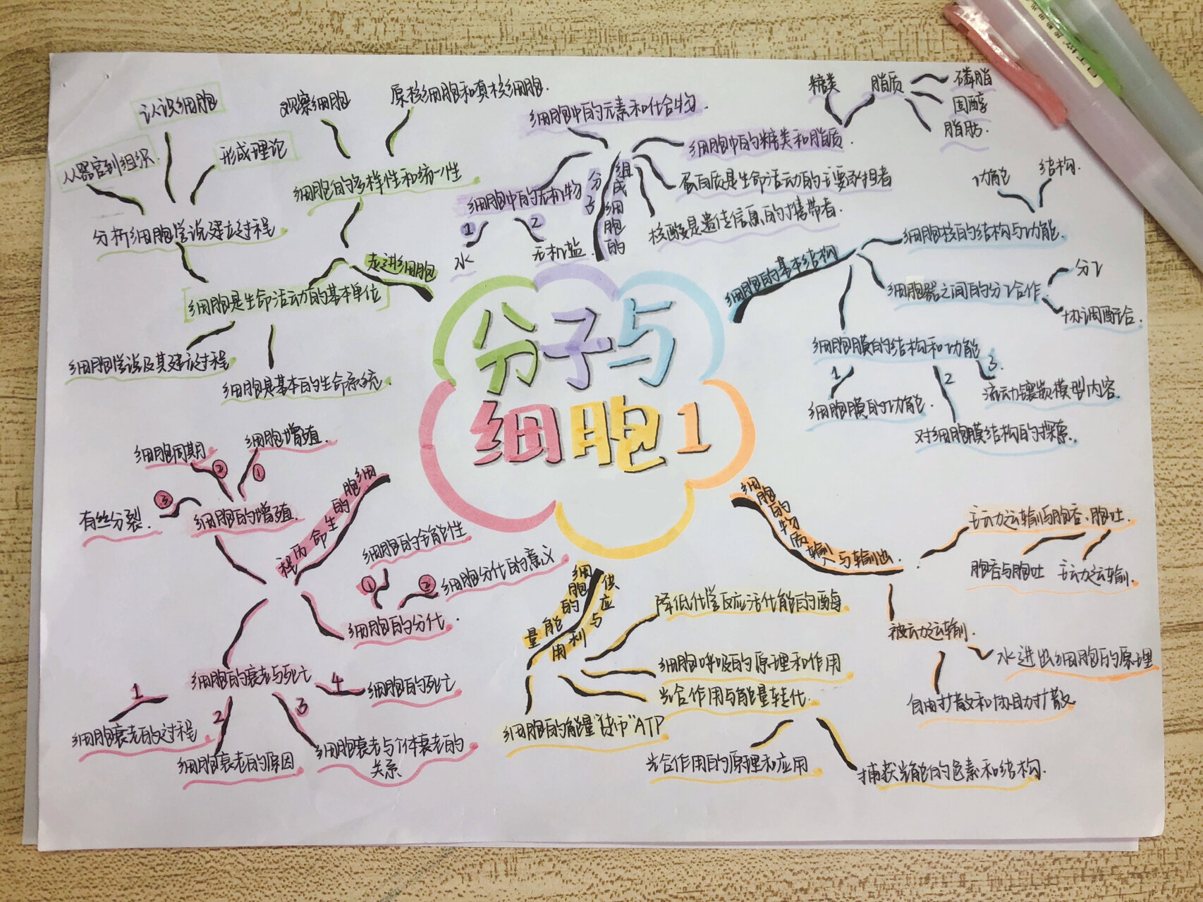 高中生物必修一思维导图✔