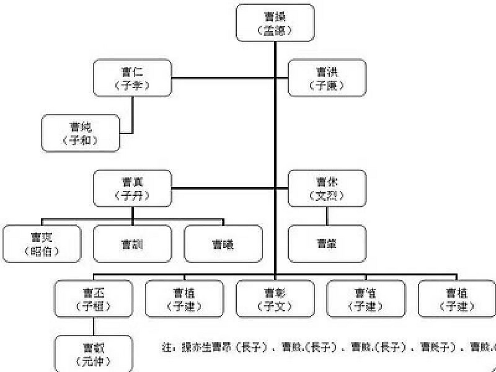 曹先生人物关系图片