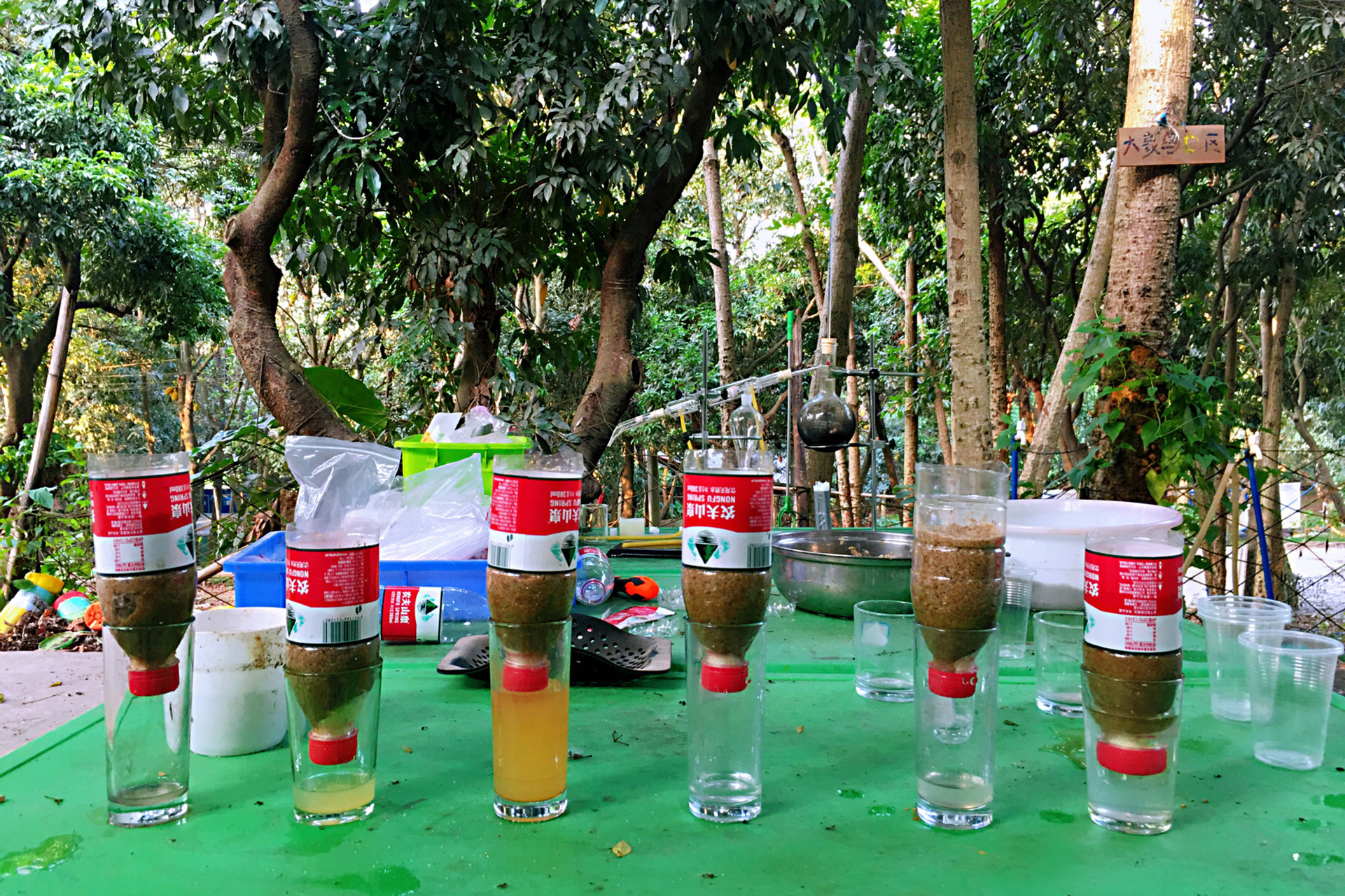 户外生存挑战之简易净水装置 知易行难,网上很多科学实验,做的很炫酷