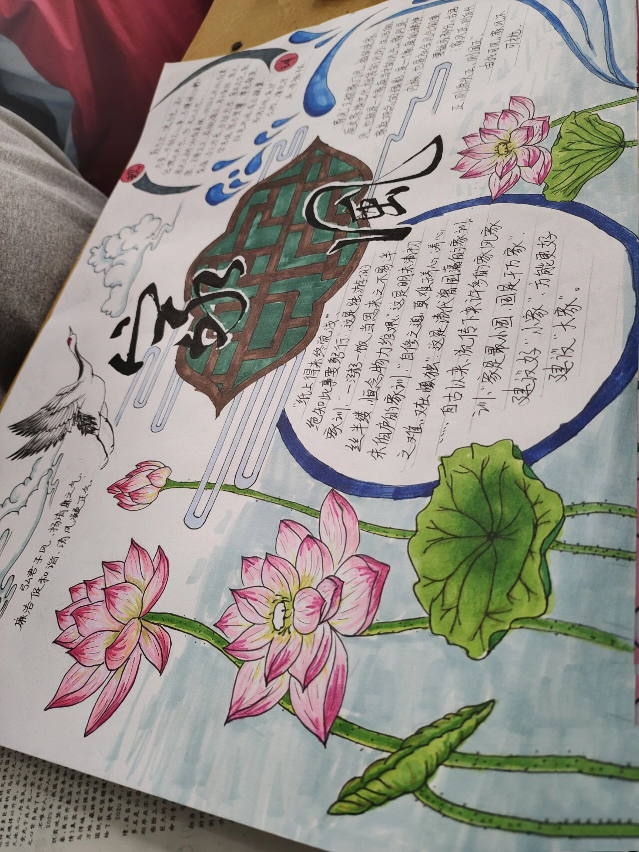 荷花手抄报@双子iktalks的动态