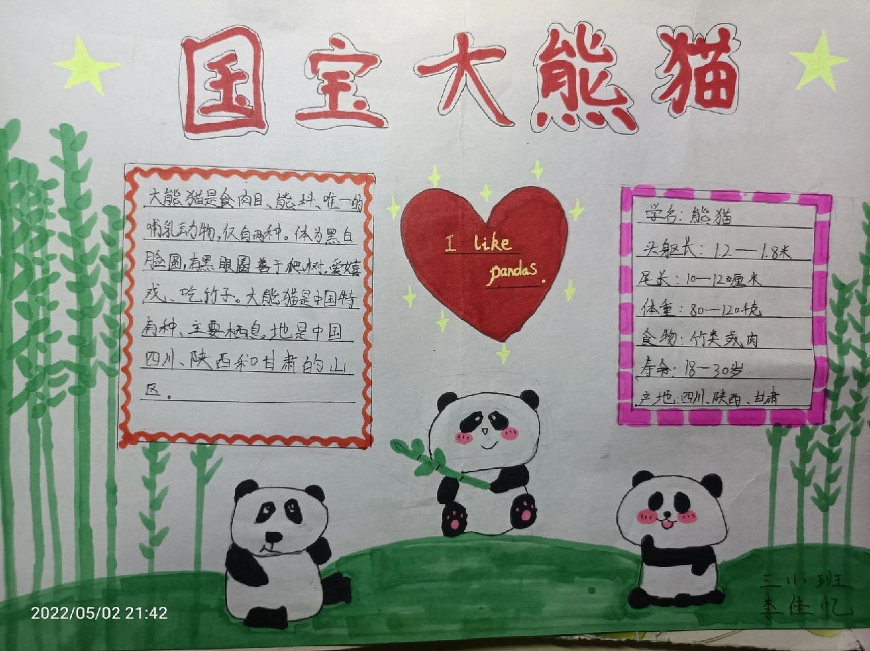 简单熊猫手抄报画画图片