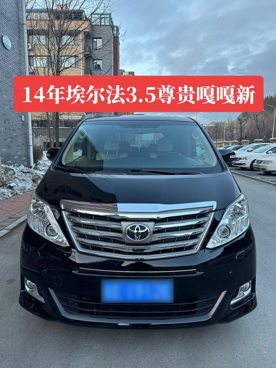 丰田alphardv6报价图片