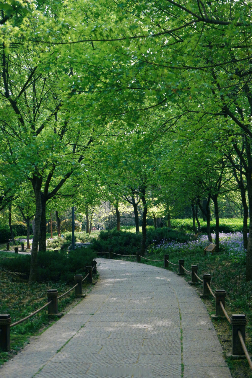 不负好春光#  #好景山东#   济南春天的森林公园竟然这么美!