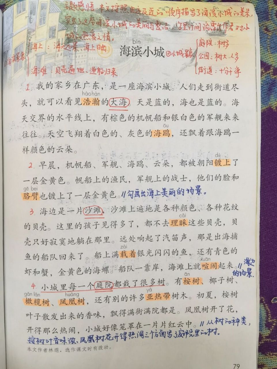 海滨小城简笔画 课文图片