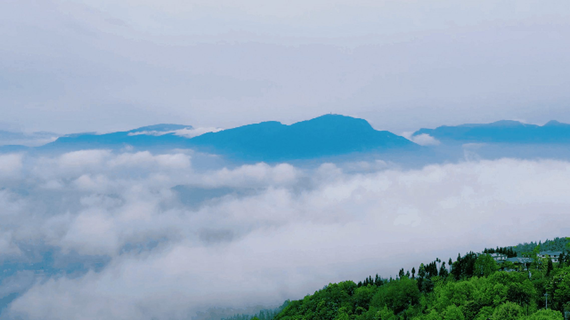 【#四川多个景区有优惠# 5月19日蒙顶山景区免门票游玩!】迎5.