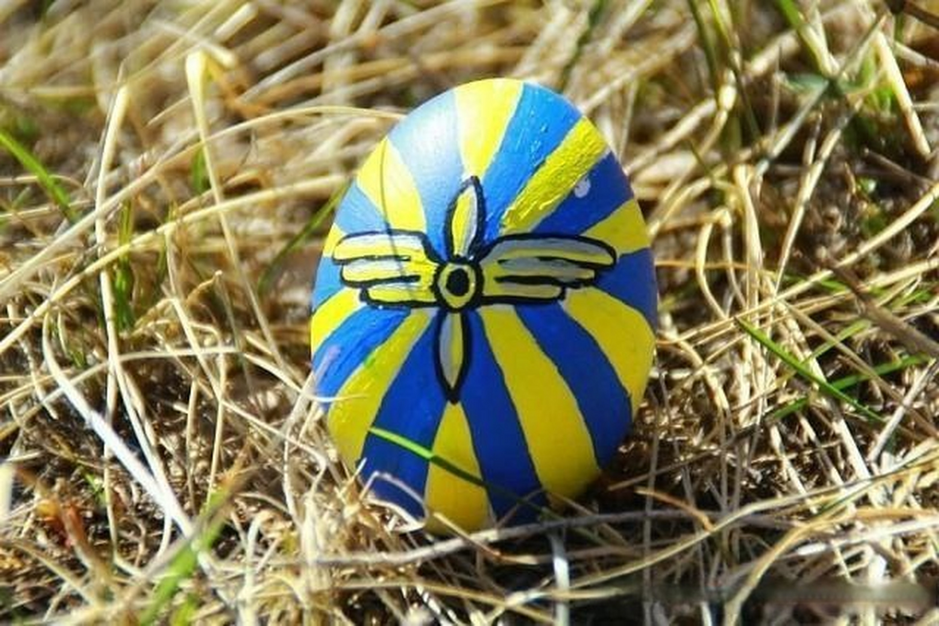 俄空军复活节彩蛋